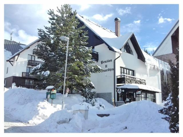 Hotel U Bernardyna à Harrachov Extérieur photo