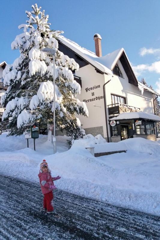 Hotel U Bernardyna à Harrachov Extérieur photo